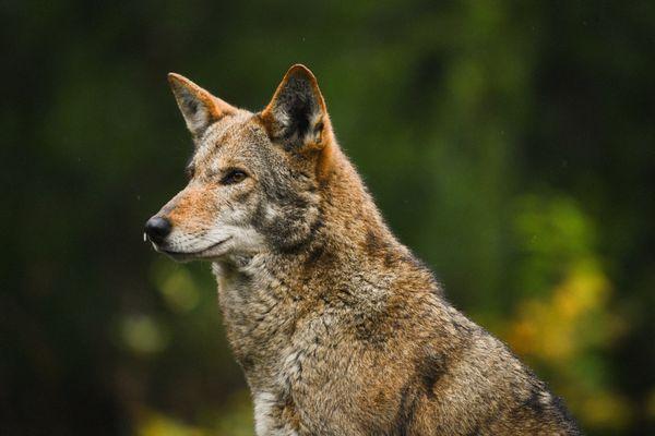 Point Defiance Zoo & Aquarium