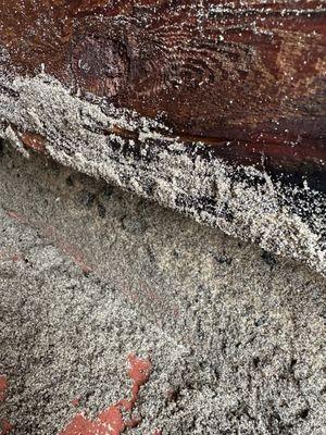 The Landscape Company