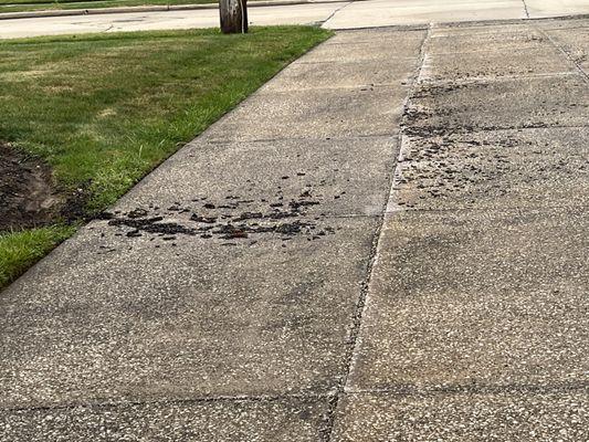 Wide Open Property Maintenance