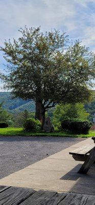 Ridgway Area High School