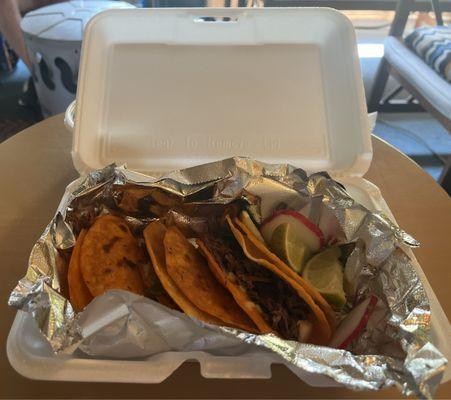 Quesabirria special! (Thursday Only) It's amazing!!