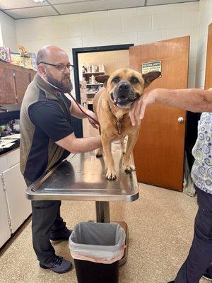 Azalea Animal Hospital