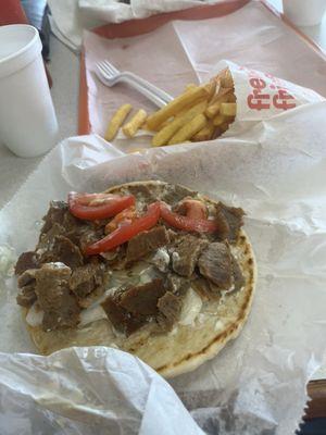 Gyro and Fries