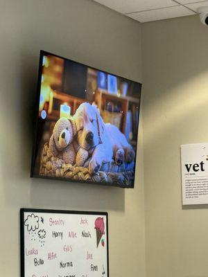 Cuyahoga Valley Veterinary Clinic