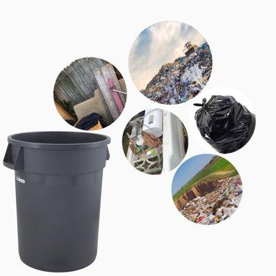 King David Junk Removal and Property Care Service