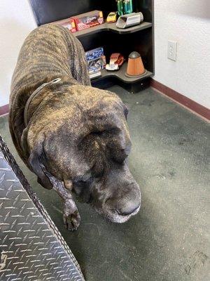 Pro Muffler and Brakes