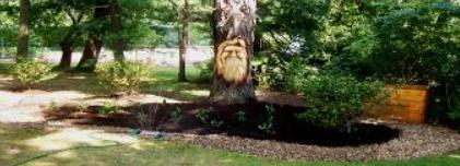 Mike N. Cirino & Son, Inc.