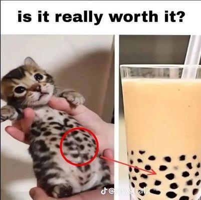 Woodlawn Beach Middle School