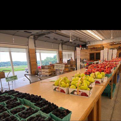 Lewis Orchards