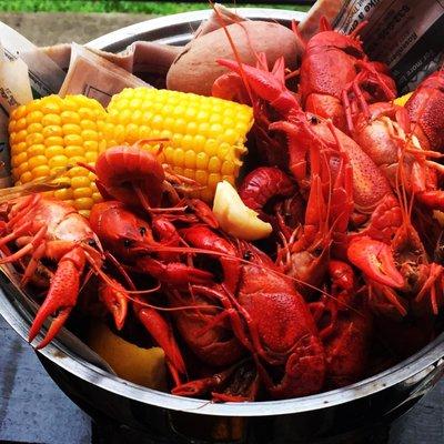Crawfish cooked right in the. Back yard by a Key Life representative. They come fully equipped and ready to go!