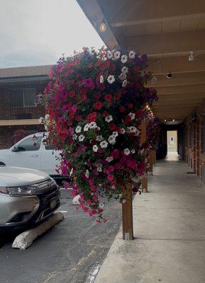 Flowers welcoming you