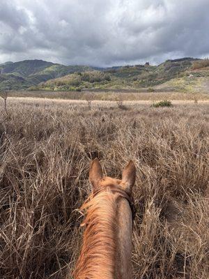 Maui Mountain Activities