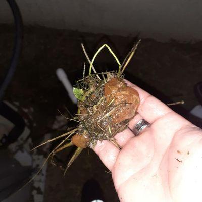 He Saves Air Conditioning