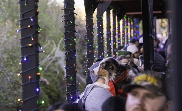 Yosemite Mountain Sugar Pine Railroad