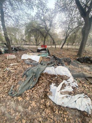 Big Dawgs Junk Removal