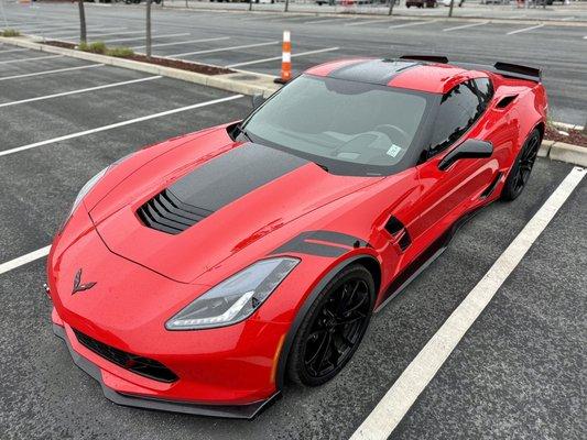 Exclusive Collection MRY