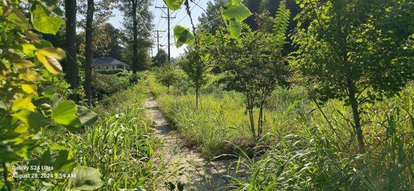 Brutha's United Lawn Care Service