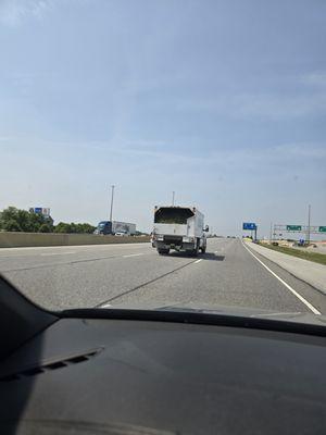 Greenery coming out on our cars