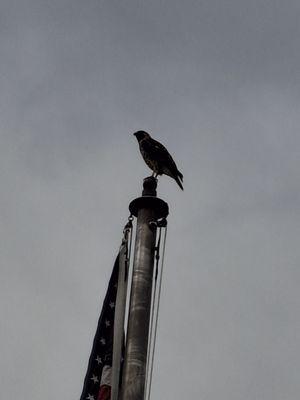 Greenwood Cemetery