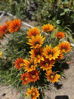 V&A High End Home Solutions