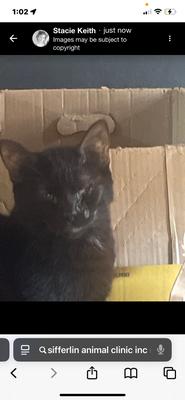 Sifferlin Animal Clinic