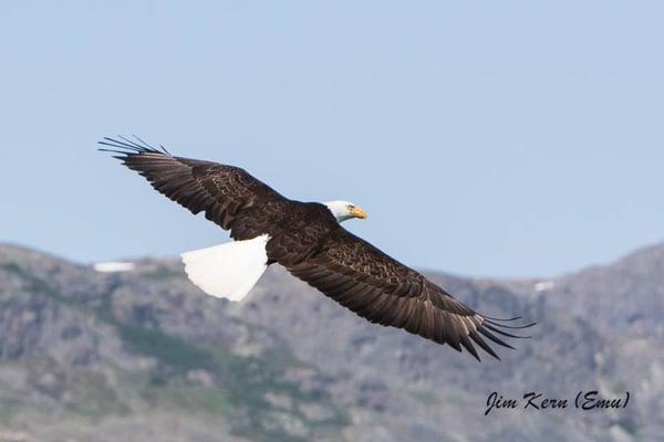 Angry Eagle Lodge & Outfitters