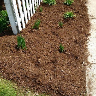 Freiberg's Landscaping