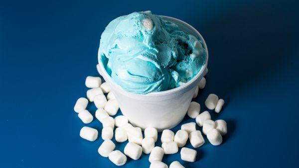 Lakeland Ice Cream Company South