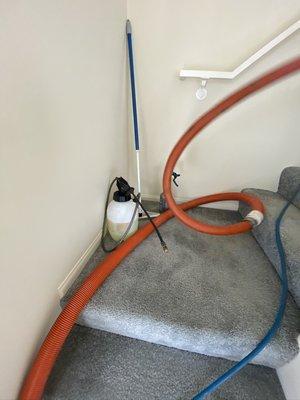 Karrion Certified Professional Carpet Care