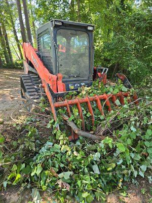 After Hours Tree Service