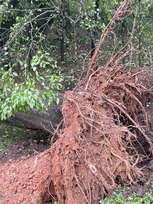 Carolina Hauling & Landscaping