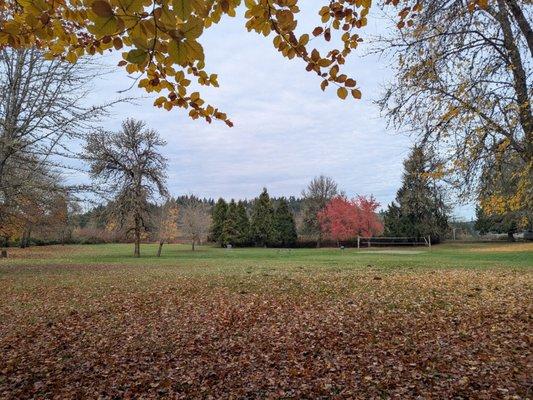 Schaefer County Park