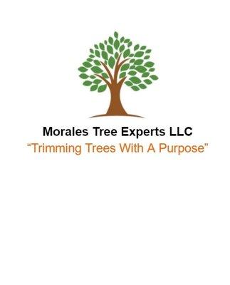 Morales Tree Experts