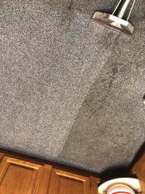 Angerstien Carpet Cleaning and Sales