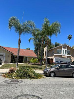 Cesar’s Landscaping