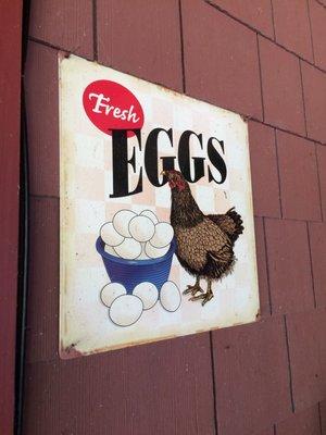 Rumsey House: fresh eggs 100%