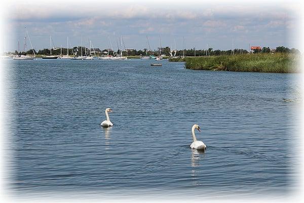 New York Appraisal One