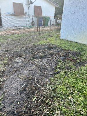 Sergeant T's Tree Service