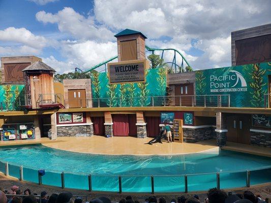 Clyde & Seamore's Sea Lion High