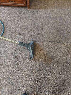 SB Carpet Cleaning