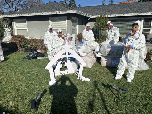 Attical Insulation and Rodents