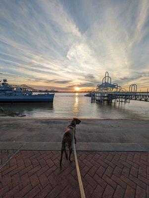 Mississippi River Park