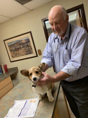 Larry L McMillan, DVM