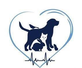 Glacial Lakes Veterinary Clinic, Prof, LLC