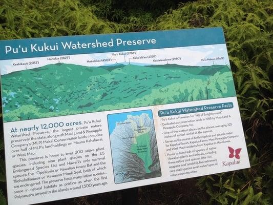 Maunalei Arboretum Hiking Trails