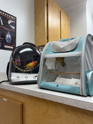 Griffin Avian & Exotic Veterinary Hospital