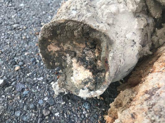 Wedgewood Manor Condos