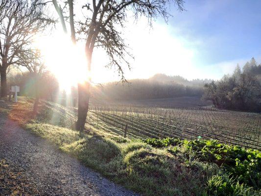 Fusion Technology Solutions