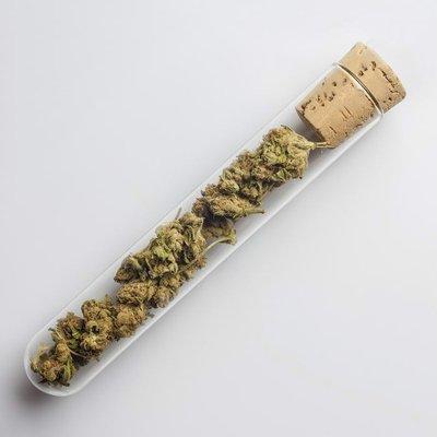 Route 66 Buds Dispensary