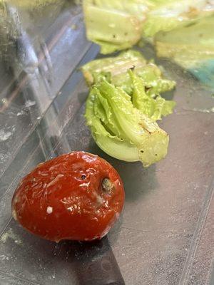Bad tomato, hard lettuce core, and rusty lettuce pieces.